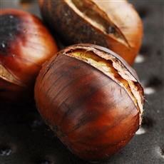 chestnuts comprimat de la varicoza)