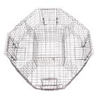 Hexagonal magpie cage trap with 4 entrances