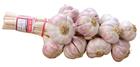 Lautrec´s pink garlic in a 1kg braid