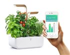 Bluetooth Connect Edition Indoor Garden White and Gold Genuine connected