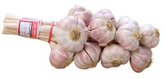 Lautrec´s pink garlic in a 500 g. braid