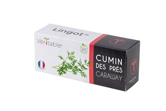 Cumin des Prés Refill Ingot for vegetable garden Genuine